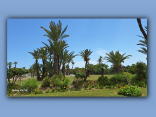 Tunisian 2025 (9).jpg